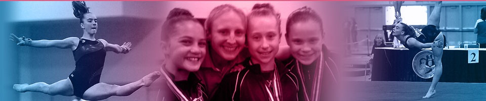 banner 2