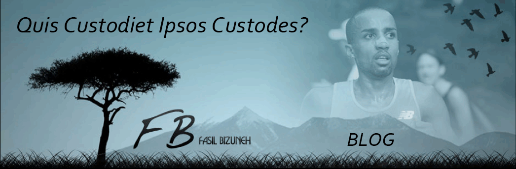 Quis custodiet ipsos custodes?