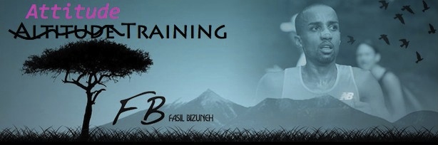 Altitude (scratch that) ATTITUDE Training