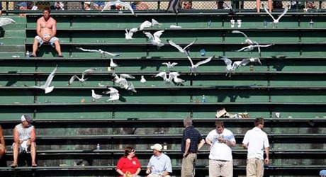 Empty Bleachers:  Getting Fans To Attend Our Best Meets