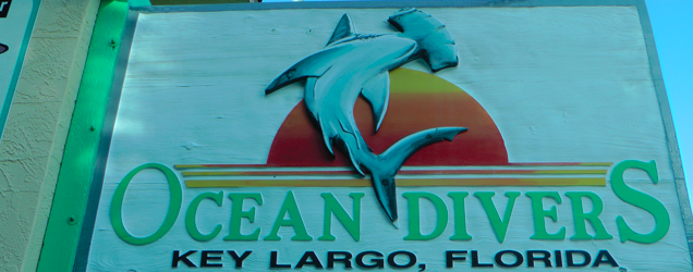 Ocean Divers