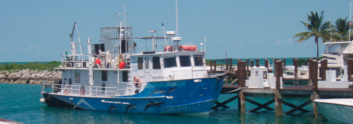 Blue Iguana Charters