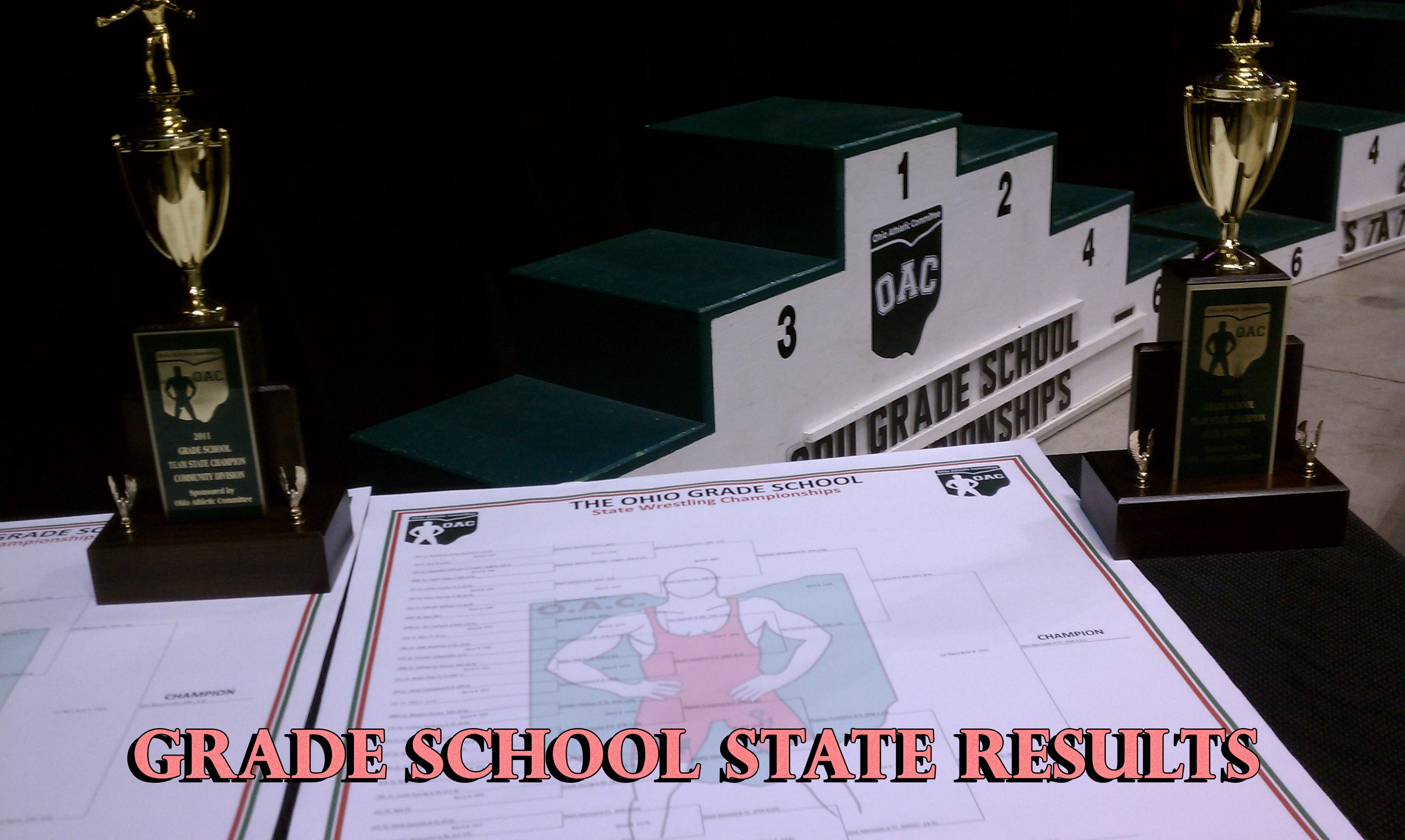 Grade School Wrestling Results